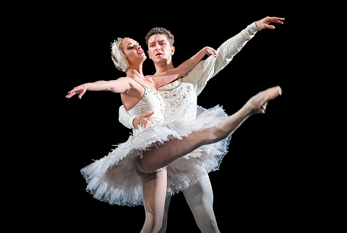 The Ukrainian Ballet Of Peace Jezioro Łabędzie